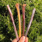 군침돌개 강아지 한우 불리스틱 강아지육포 카우스틱 라지 20cm : 군침돌개