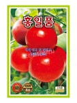 KS 홍일품  1000립 토마토 씨앗 종자 모종 텃밭 주말농장 KS종묘 그린종묘농약사 : 허수아비정원