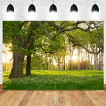 봄 현수막 포토존 용수철 장면 배경 숲 꽃 나무 잔디 자연 풍경 아기 초상화 스튜디오 : 포온지2마켓