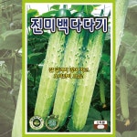 오이씨앗 진미백다다기 500립 백다다기 흑침계 오이 종자 : 올팜농자재