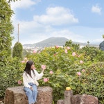 제주 숨도 / 서귀포 석부작 자연 식물원 정원 꽃 포토존 관광지 : 브이패스