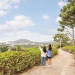 제주 숨도 / 서귀포 석부작 자연 식물원 정원 꽃 포토존 관광지 : 브이패스
