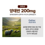 플라센타콜라겐 호주 양태반 태반 콜라겐 프리미엄 정 : 마켓단미