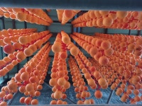 완주 대둔산 청정지역 흑곶감 명품 선물세트 1호 : 대둔산 참좋은농장 흑곶감