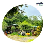 내 몸이 튼튼 국내산 경주 사슴 녹용엑기스 녹용진액 녹용즙 녹용액 녹용수 : 경주 탑골 농장