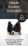 강아지 전용 미용 커브가위 애견 미용가위 : 루이연