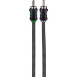 Raptor R5RCA17 PRO SERIES Visible Dual Twist Audio RCA : 글로벌마마직구