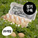 투빌드어홈 밝은집 동물복지 난각번호 1번 계란 정기구독 유기축산 20구 : 벽오리농장