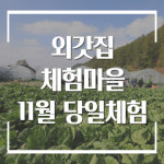 양평외갓집체험마을 당일체험 - 촌캉스 & 돈까스 뷔페점심 11월 - 가족모임 단체워크샵 수련회 촌캉스 - : 외갓집체험마을