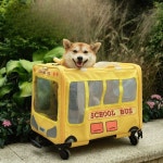 강아지 고양이 스쿨버스 이동캐리어 이동 가방 : 디와이월드와이드