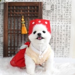 (조바위 set) 컬러풀 강아지한복 애견설빔 설날옷 s : 아딸링