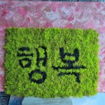 스칸디아모스 원데이클래스 하루특강 12작품만들기 공예수업 상품만들기 B형 : 한반도농원