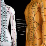 한의원 인체 모형 침구동인 한의대 침술 한의학 혈자리 시침가능 교육용 과학 : 5시즌스토어