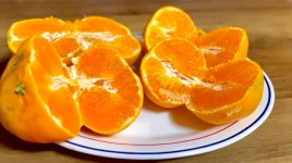 제주도 제철 레드향 5kg 10kg : 제주 이슬농원