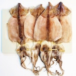 10마리 식자재 그로서리 맛있는 안주 냉동 국내산 반건조 오징어 식품 식재료 : 서치플레이스3