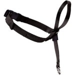 PetSafe Easy Walk Head Collar : 글로벌마마직구