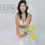 밸리댄스 주 2회 (1개월) : 엠제이요가팰리스