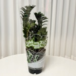 보석금전수 금전수 소품 중품 개업 집들이 축하선물 : 깜숭이농장