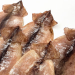 동해안 햇 반건조오징어 1kg 1.2kg 1.5kg 2kg (피데기 건조 마른 안주) : 신건호멸치