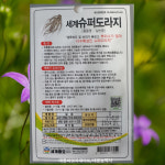 슈퍼도라지 씨앗 종자 1000립 1봉 토종 슈퍼 도라지 민속채소 : 태웅씨앗자재마트
