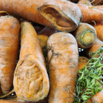 국내산 흙당근 홍당무 못난이당근 : 용감한부부