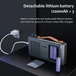 휴대용 미니 블루투스 스피커 거실 캠핑 라디오 비디오 디스플레이 무선 듀얼 카드 슬롯 음악 플레이어 전자책 : 믿음존