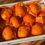 [무료배송] 제주달코롬 레드향 산지직송 제철 과일 3kg 5kg 선물세트 : 제주달코롬