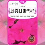 페츄니아 씨앗 20립 매드니스로즈 페튜니아 피튜니어 종자 꽃씨몰 봄 여름 가을 꽃씨앗 : 주주씨앗