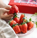 농장직영 생딸기 설향 신데렐라 산지직송 딸기 선물 임산부 : 참사랑 농원