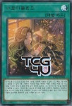 아로마블렌드 (PHNI-KR068) Rare 한글판 유희왕 : TCG포유