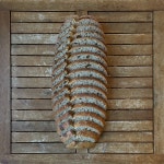 통밀 사워도우 우리통밀 비건 식사빵 (90%통밀빵) 850g : 물밀소