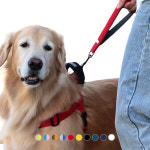 강아지리쉬 숏리쉬 분독 오리지널 트래픽리쉬 산책훈련용 제어 컨트롤 대형견 : 리타모르