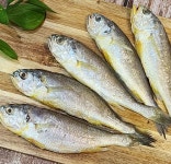 생선 생선구이 영광 굴비 1kg 영광굴비 법성포굴비 : 수앤서마켓B