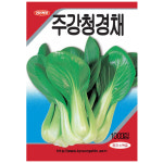 주강청경채 씨앗 1000립 - 하우스재배, 노지재배 모두 우수한 씨앗 청경채 채소 주말농장 씨 : 그린데이