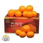 제주연가 천혜향 가정용 3kg,5kg,10kg : 제주연가