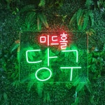당구장 네온사인 간판 주문제작 led 글씨 조명 아트 네온 한글10cm : 로고상상