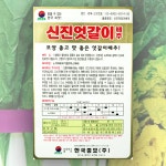 신진엇갈이 배추 씨앗 20g 한국대농종묘 엇갈이 얼갈이 배추 종자 : 대농종묘