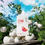 뷰티밤 미스더필플러스 2개입 선물세트  히알루론산 비타민C 토마토 미백 영양제 이너뷰티 : 디에스큐브