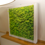 스칸디아모스 대형 기능성 이끼 액자 : 루시아트 lucy