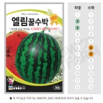 엘림꿀수박 씨앗 종자 30립 채소 야채 : 하우투팜