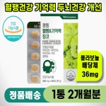 광동제약 은행잎 혈행&기억력 징코 기억력감퇴 뇌혈류개선 450mg  x 60정 : 라이프메딕스