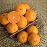 천하일품 제주 서귀포 명품 천혜향 가정용 선물세트 : 천하일품감귤농장