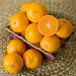 천하일품 제주 서귀포 명품 천혜향 가정용 선물세트 : 천하일품감귤농장