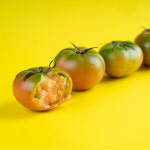 [품평회 대상] 경민농장 대저짭짤이토마토 대저토마토 : 미라클고