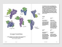 매거진F No 29 와인 WINE 한글판 국문판 매거진에프 : 알앤샵 RnShop