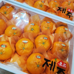 [선물용] 은서네농장 레드향 3kg/5kg/10kg : 은서네농장