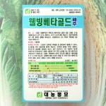 배추 씨앗 웰빙베타골드배추 500립 한국대농종묘 배추 종자 가을배추 : 대농종묘