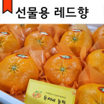 [선물용] 은서네농장 레드향 3kg/5kg/10kg : 은서네농장