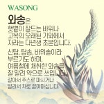 엄마애손 말린 건조 와송 100g 5팩 총 500g 대용량 : 건강부록