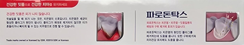 파로돈탁스 데일리 후로라이드 약국용 잇몸질환예방 치은염 치주염 치약 150g, 3개 : 우리동네 이약사